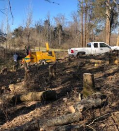 Tino's Tree Service
