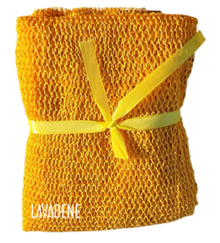 African Net Sponge New Zealand