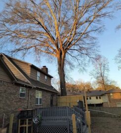 Plyler's Tree Service