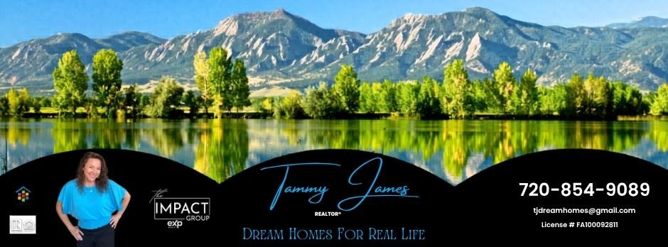 Tammy James Realtor