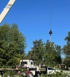 Tino's Tree Service
