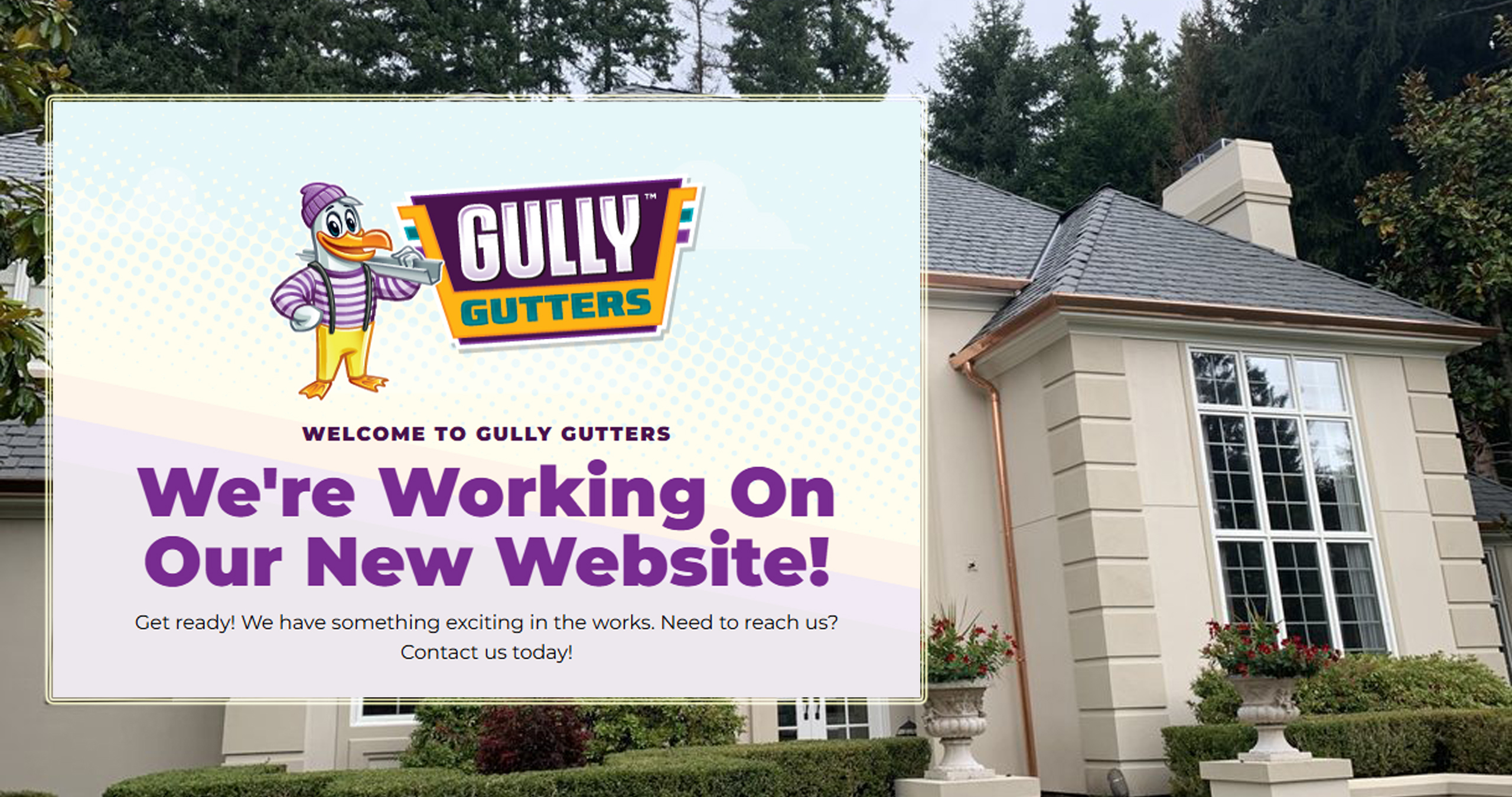 Gully Gutters