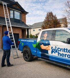 Critter Hero Wildlife Removal St. Catharines