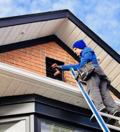 Critter Hero Wildlife Removal St. Catharines
