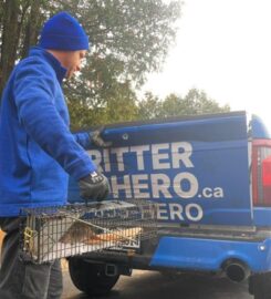 Critter Hero Wildlife Removal St. Catharines