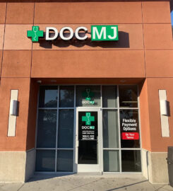 DocMJ