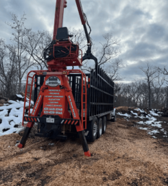 García Tree Removal Service
