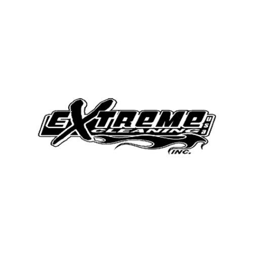 Extreme Cleaning