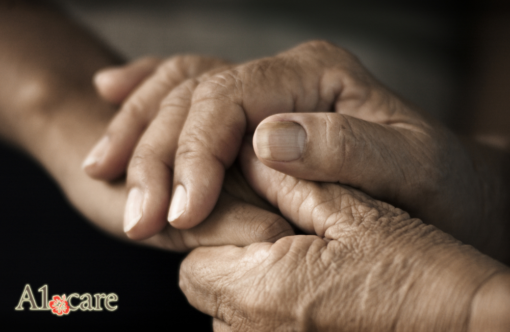 A1Care