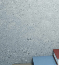 Pace Migration & Education Consultancy