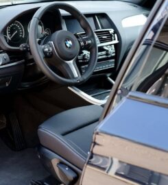 Detailholics
