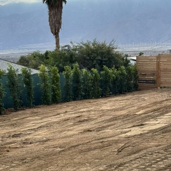 oro desert spartan tree & landscape services