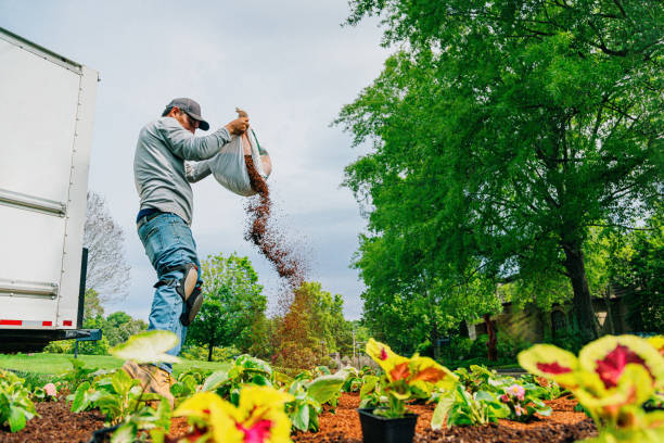 BerryHill Landscapes LLC