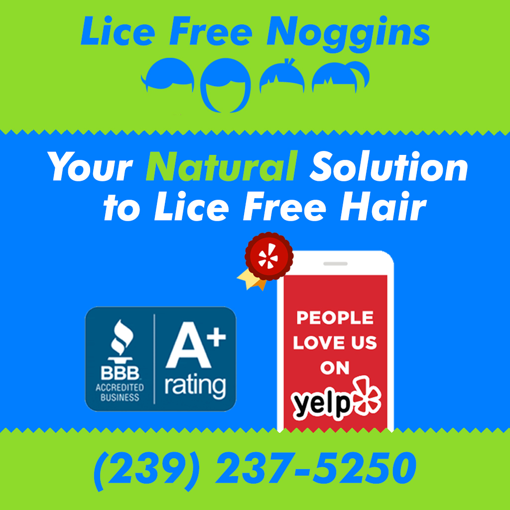 Lice Free Noggins Fort Myers