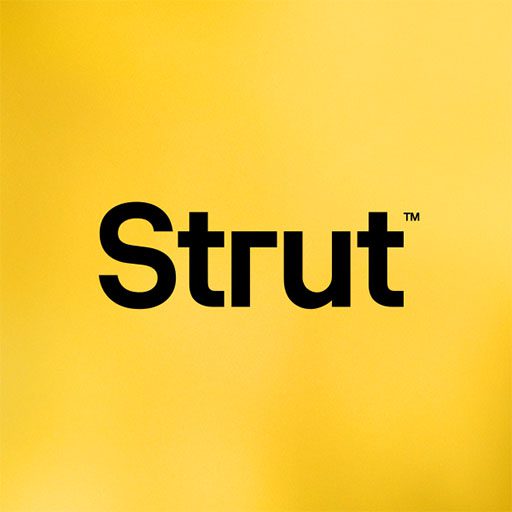 Strut