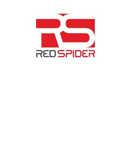 RedSpider Web & Art Design | Web Design Dubai
