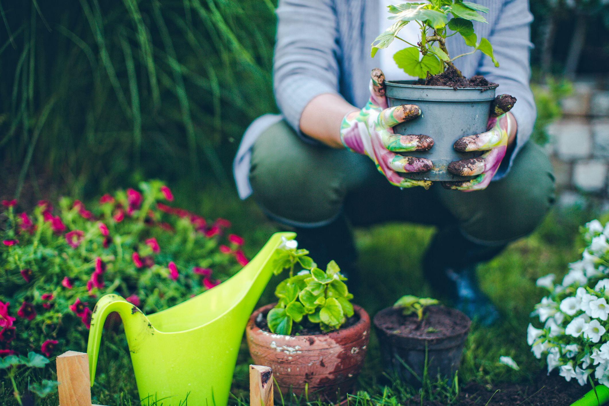 Garden Pro – Your Trusted Landscaping Experts