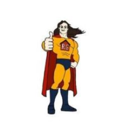 Roof Us, Roof Guy!