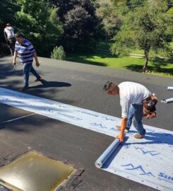Roof Us, Roof Guy!