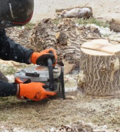 García Tree Removal Service