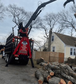 García Tree Removal Service