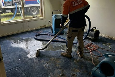 Wet Carpet Restoration