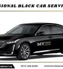 My Urban Limos