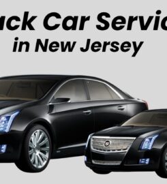 My Urban Limos