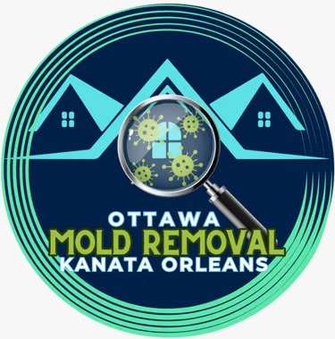 Ottawa Mold Removal-Orleans-Kanata