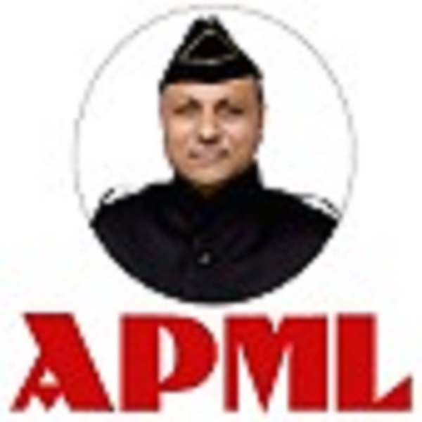 Agarwal Packers and Cargo L.L.C