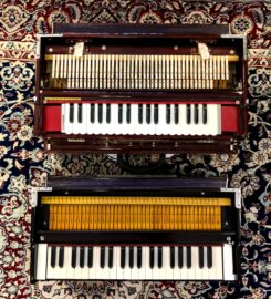 RaagRas Academy of Music
