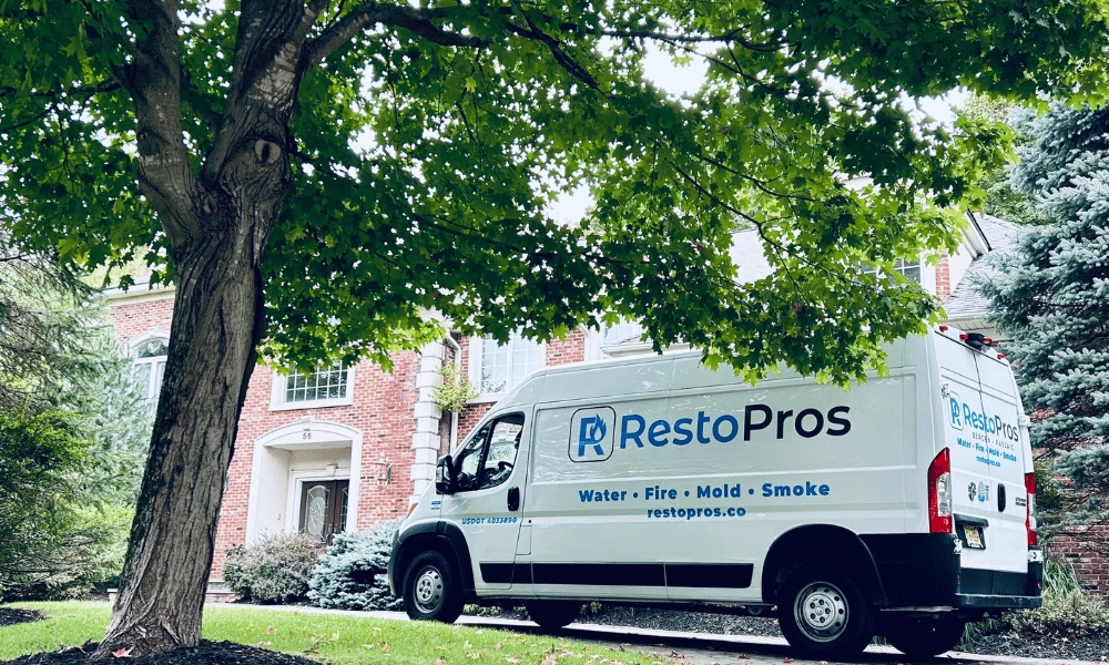 RestoPros of East Denver