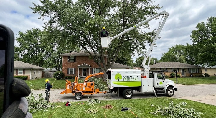 Kansas City Tree Care LLC