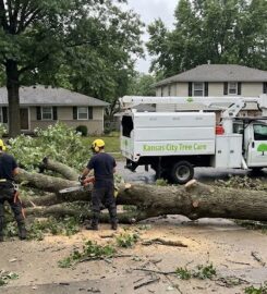 Kansas City Tree Care LLC