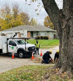 Kansas City Tree Care LLC