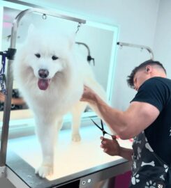 Boujee Mobile Pet Grooming