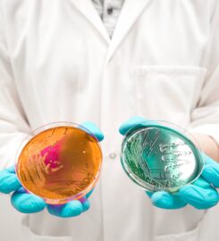 Microbac Laboratories, Inc. | Environmental Testing in Dayville C &hellip;