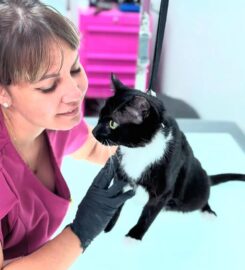 Boujee Mobile Pet Grooming