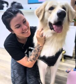 Boujee Mobile Pet Grooming
