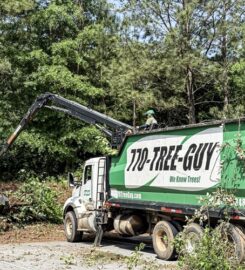 770-Tree-Guy