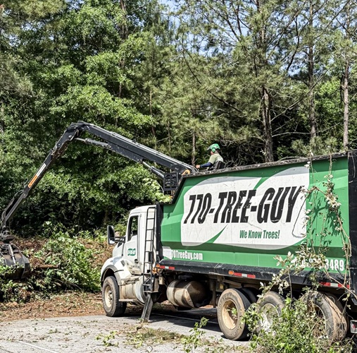 770-Tree-Guy