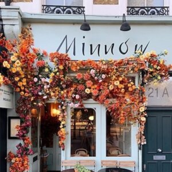 Minnow Clapham