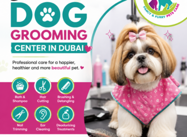 Fancy Furry Pets Care – Luxury Dog Boarding in Dubai