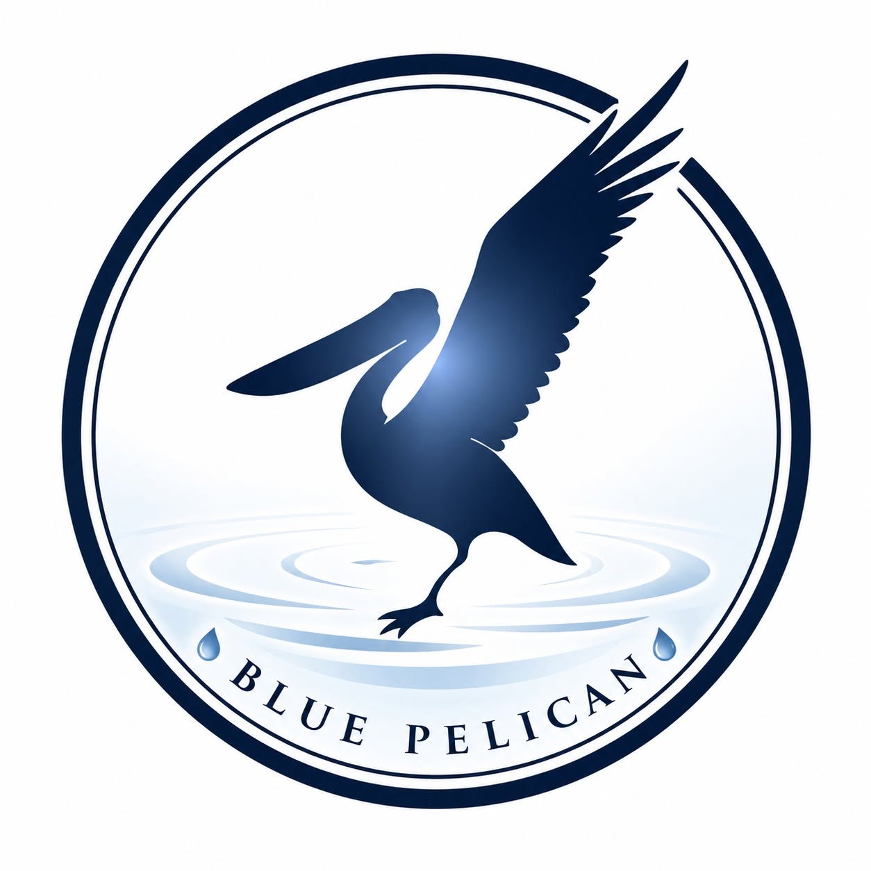 Blue Pelican Water Solutions