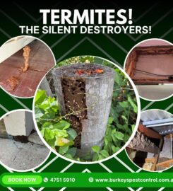 Burkeys Pest Control Townsville & Surrounds