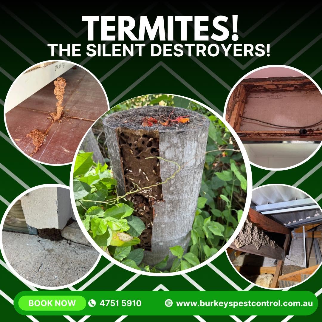 Burkeys Pest Control Townsville & Surrounds