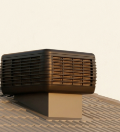 Solus Air