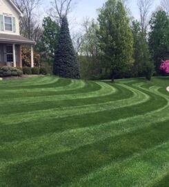 Greener Grounds Lawn & Tree