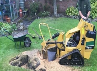 Stump Grinding and Wood Chipper Services
