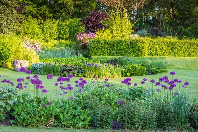 Garden Designers Near Me